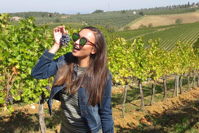From San Gimignano: Half Day Tuscany Wine Tour With 2 Wineries - Tour Overview