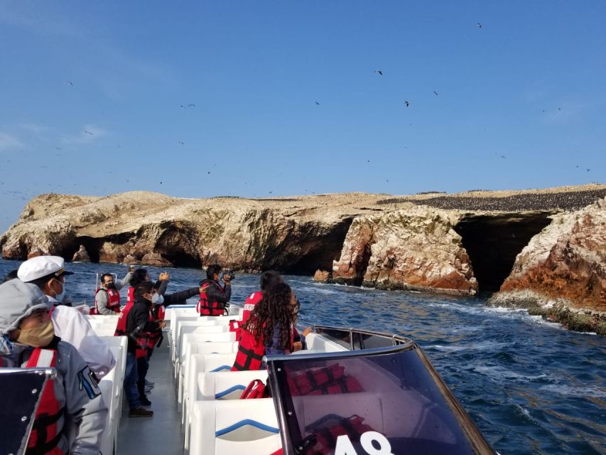 From San Martin Port: 2-Hour Ballestas Island - Tour Overview