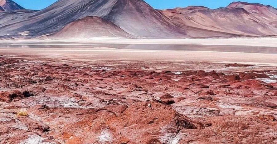 From San Pedro De Atacama: Lagoons and Piedras Reds