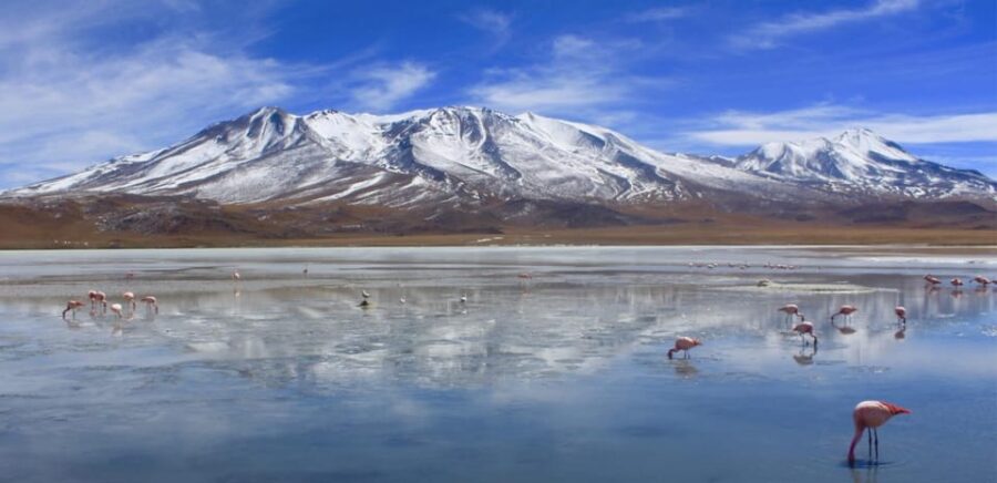 From San Pedro De Atacama to the Uyuni Salt Flats 4 Days