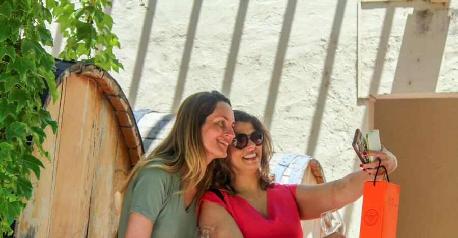 From Santiago: Concha Y Toro Half-Day Winery Tasting Tour