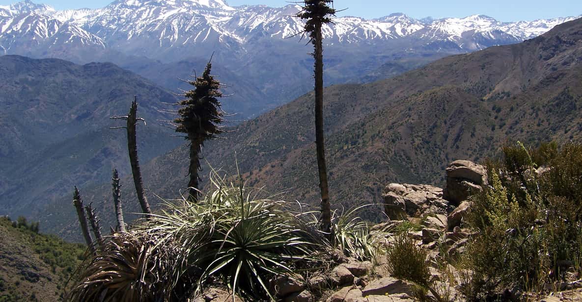 From Santiago: Half-Day Hike in the Andes Mountains