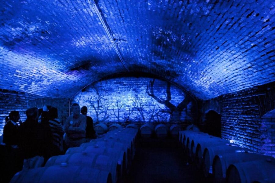 From Santiago: Maipo Valley Wine Tour