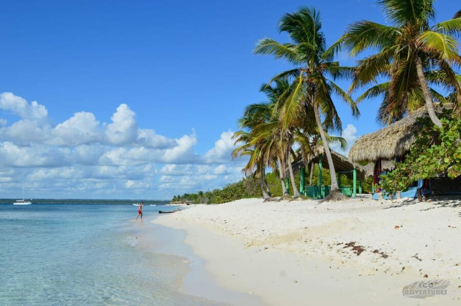 From Santo Domingo: Isla Saona Full-Day Tour With Lunch