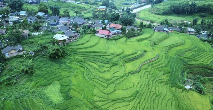 From Sapa – 1 Day Trek : Discovery the Real Life of Local .