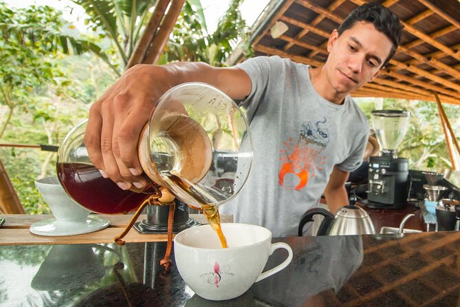 From Seed to Cup – Coffee Experience at La Palma Y El Tucan