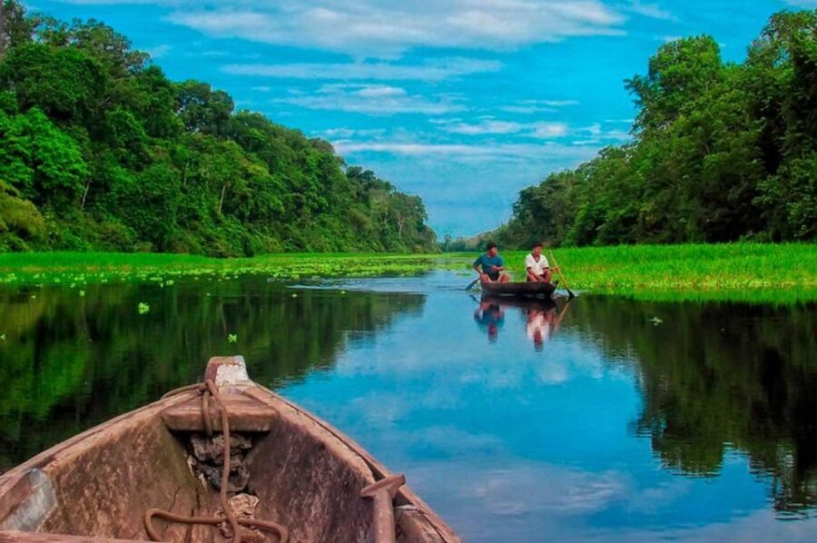 From Tambopata: Piranha Fishing - Activity Overview