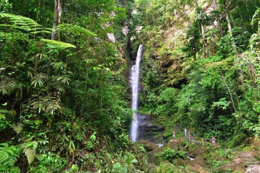 3 Best Tours In Tarapoto
