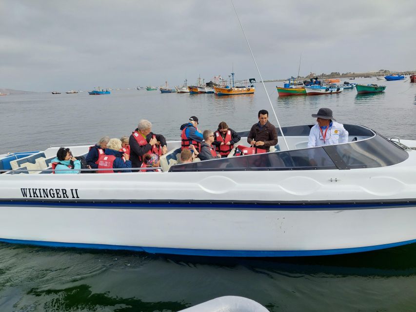 From TPP Paracas: Islands Tours & Paracas Natural Reserve