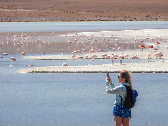 From Uyuni: Red Lagoon & Uyuni Salt Flats 3-Day Guided Tour