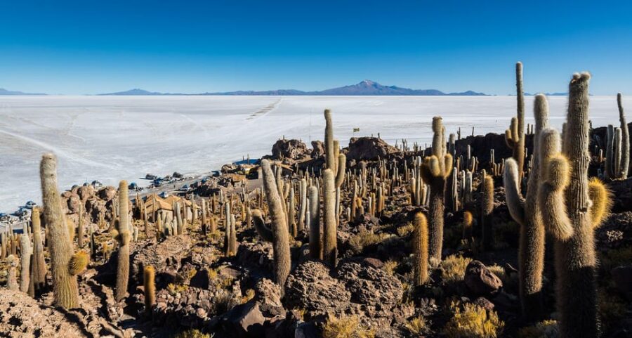 From Uyuni:3-Day Visit to Laguna Colorada and Salar De Uyuni