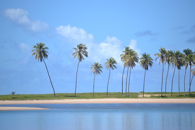 Full-Day Beach Hopping Tour From Salvador to Praia Do Forte
