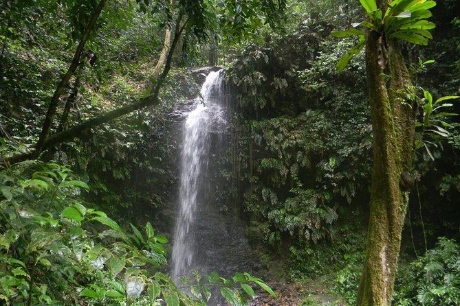 4 Best Tours In Paramaribo