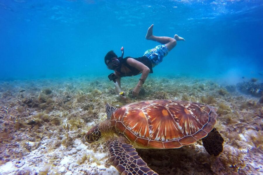 Full-Day Catalina Island With Scuba Diving