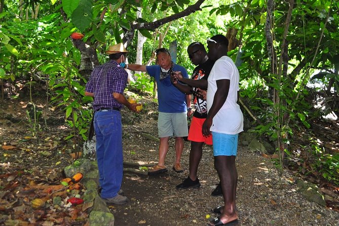 Full Day Eco Safari Adventure and Cultural Tour