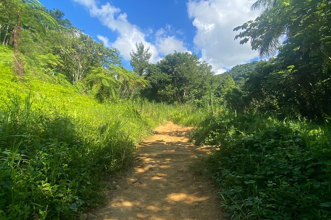Full-Day El Yunque Rainforest Adventure From Carolina
