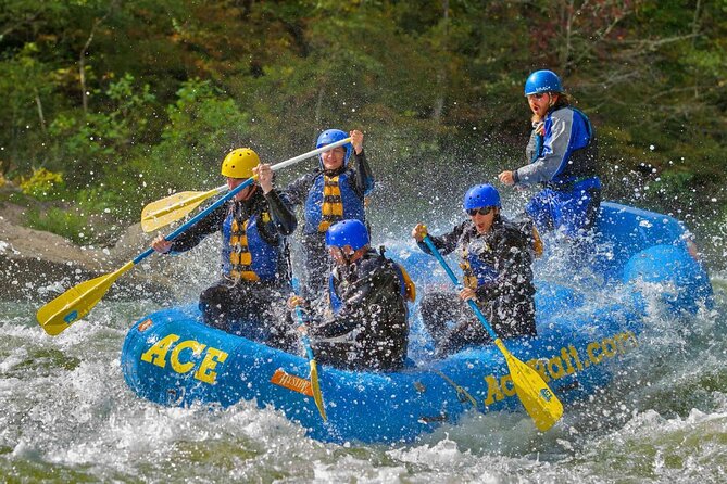 4 Best Full-Day Tours In West Virginia