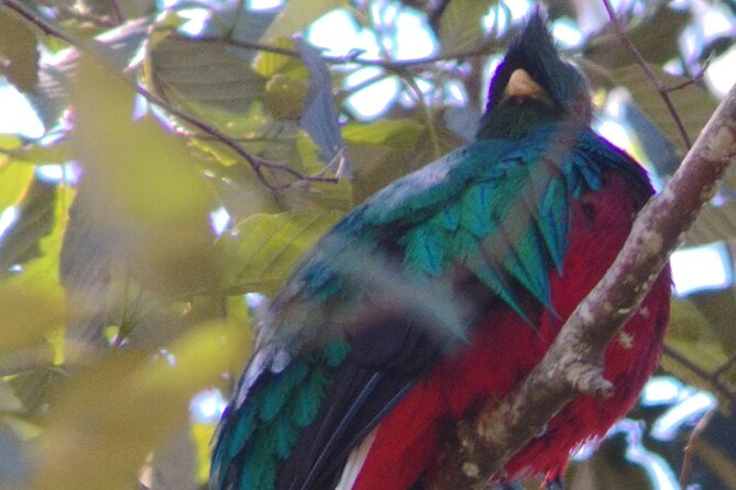 Full Day Hiking and Bird Watching at Savegre River San Gerardo Near to San Jose