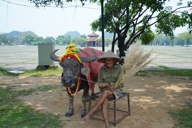 Full Day Hoa Lu/Tam Coc/ Mua Cave Tour by Limousine Bus