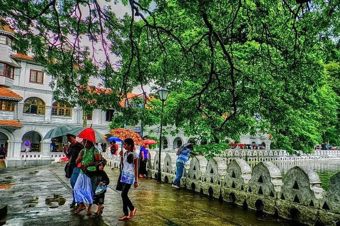 Full Day Kandy Walking Tour With TUK Tuk Ride to Peradeniya Gardens