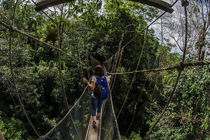 Full-Day Kinabalu Park and Poring Hot Spring Day Trip
