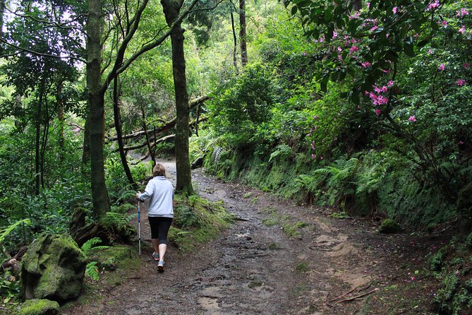 Full Day Lagoa Do Fogo Tour + Walking + Liquor Tasting PRIVATE
