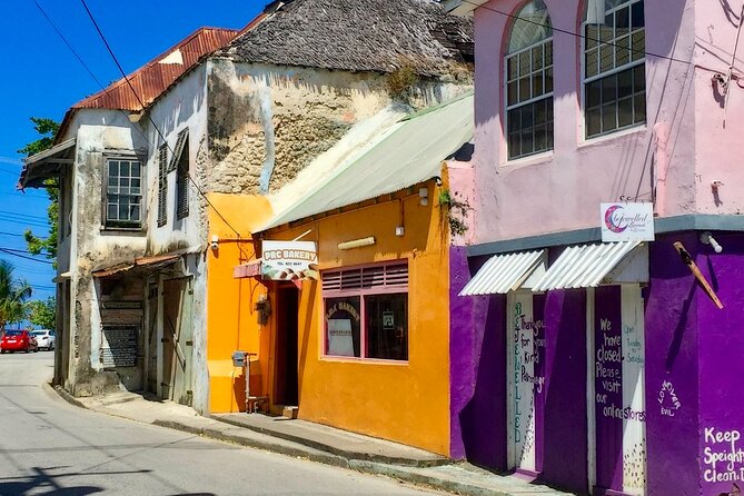 Full-Day Natural Heritage Tour in Barbados With Lunch