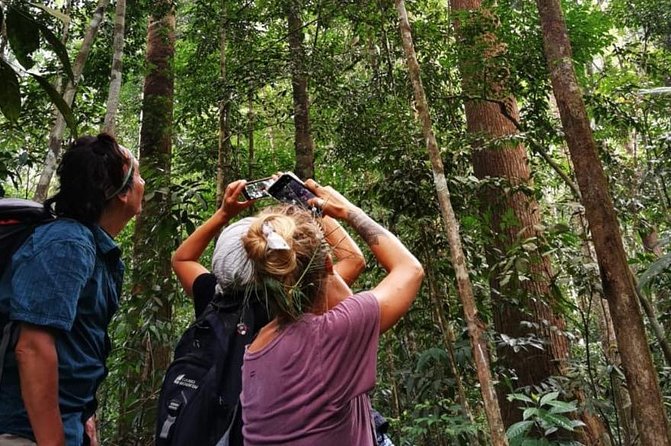 Full-Day Orangutans Adventure in Gunung Leuser