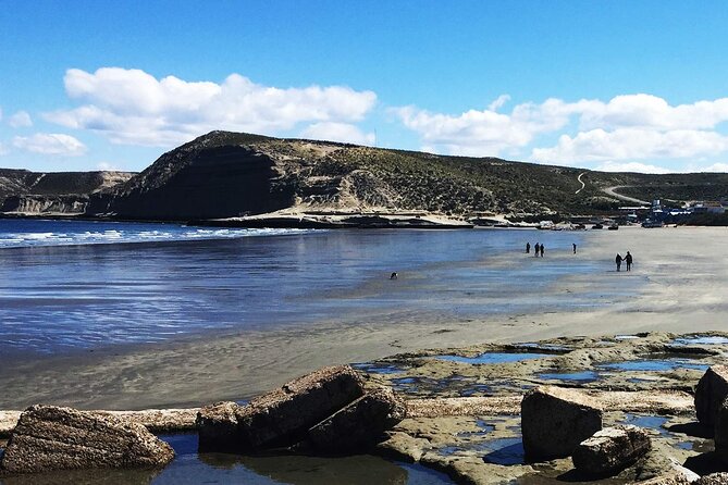 Full Day Peninsula Valdes – Optional Whales Watching Navigation