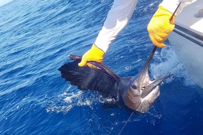 6 Best Fishing Tours In Playa Flamingo
