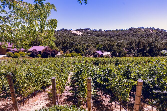 Full-Day Private Luxury Transportation From Paso Robles