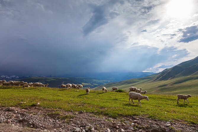 4 Best Full-Day Tours In Almaty