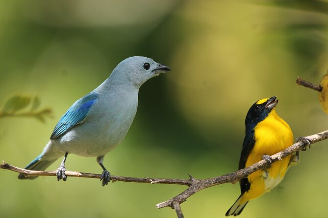 Full Day Private Tour in Monteverde, Costa Rica