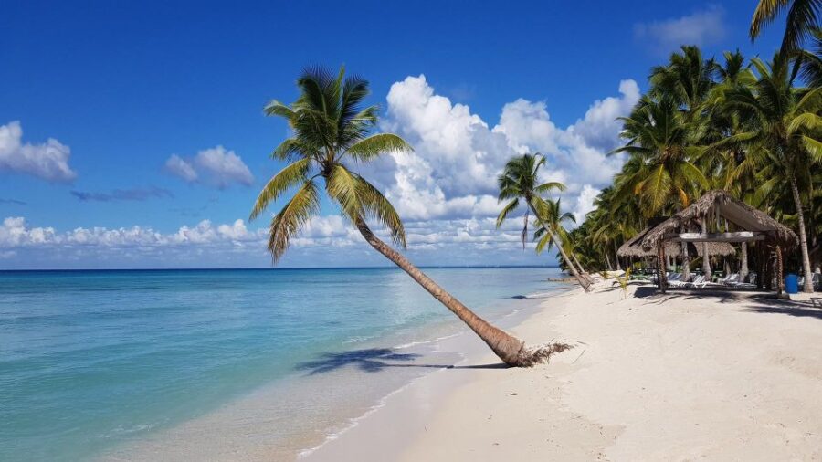 3 Best Tours In Saona Island Natural Pool