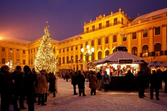 Full Day Private Vienna Christmas Market Tour From Budapest With Lunch