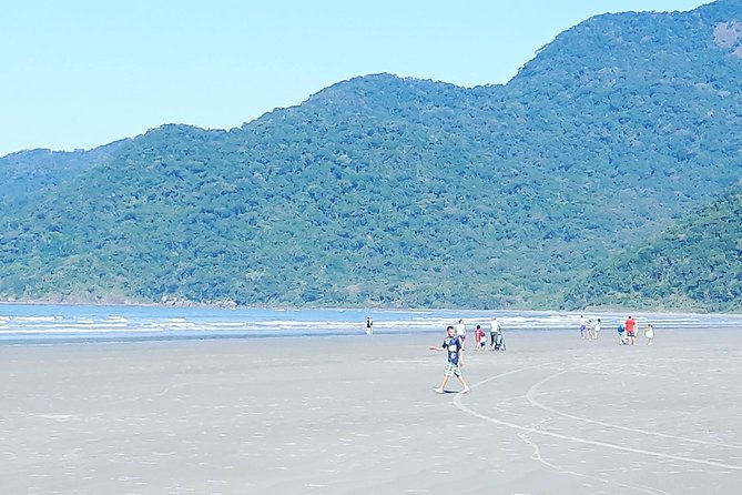 Full Day Rain Forest and Indian Reservation Tour From São Paulo