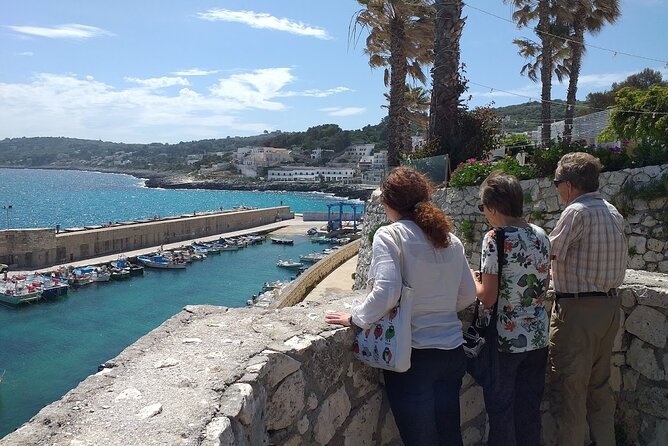 Full-day Salento Wine and Food Tour