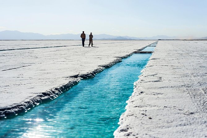 Full-Day Salinas Grandes Tour From Salta