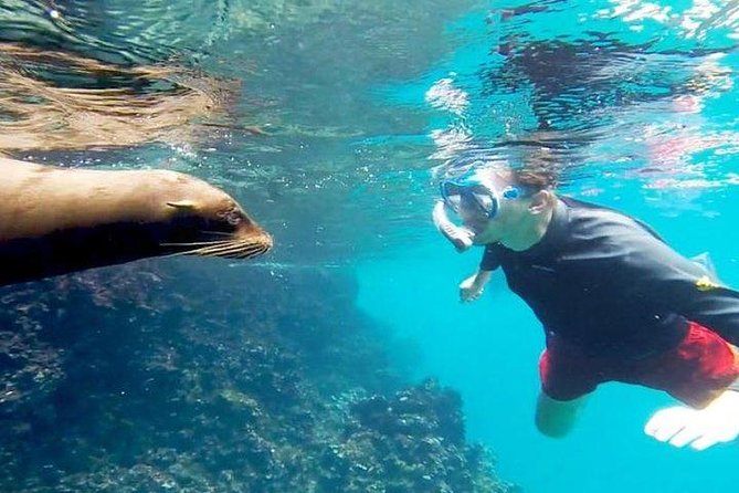 Full Day Santa Fe and Playa Escondida With Snorkeling and Lunch Included