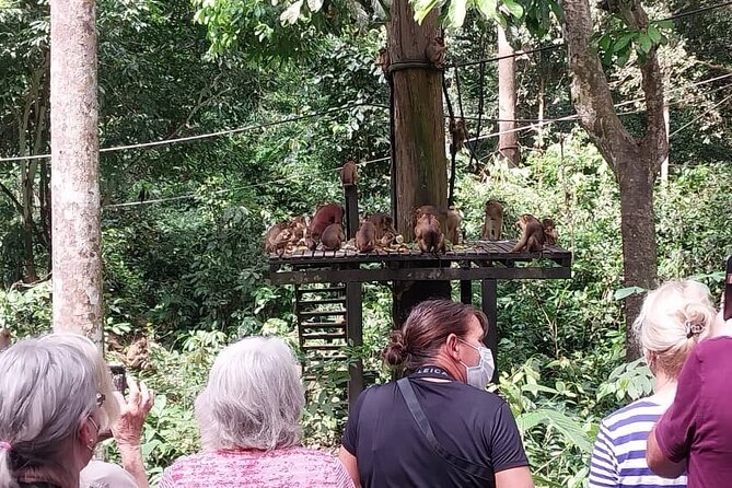 Full-Day Sepilok Orangutan and Sandakan City Trail From Kota Kinabalu - Pricing and Booking Details