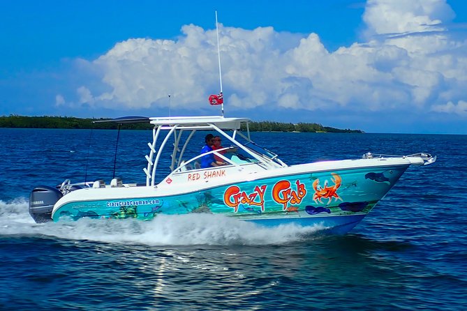 Full Day Stingray City Snorkeling Private Experience for 10 Guest