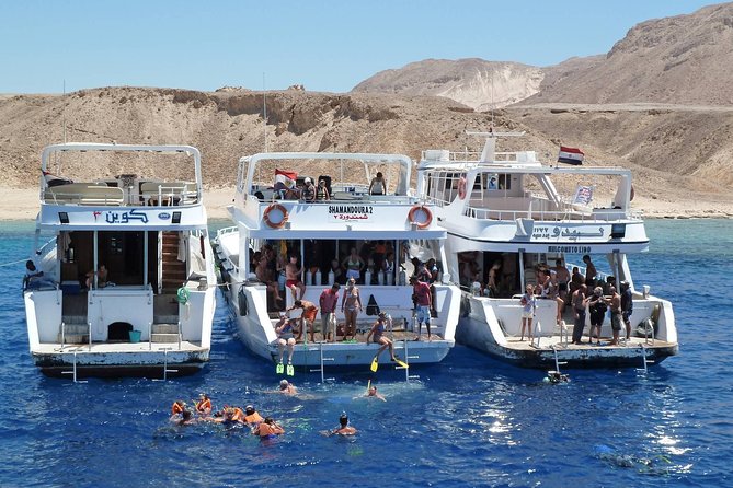 Full Day Tiran Island Snorkeling Sea Trip & Lunch With Transfer - Sharm Elsheikh