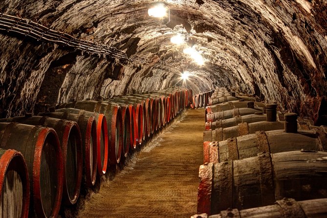 Full-Day Tokaj UNESCO World Heritage Site Private Wine Tour - Overview of the Tour