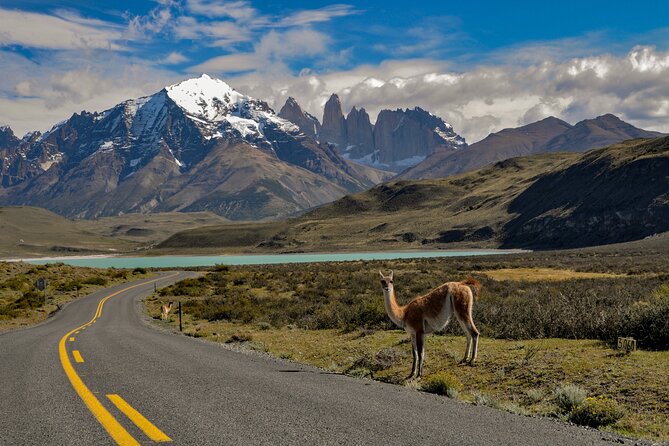 Full Day Torres Del Paine Private