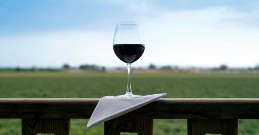 12 Best Wine Tours In Lima