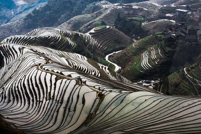 Full-day Tour: Longji Rice Terraces & Minority Villages