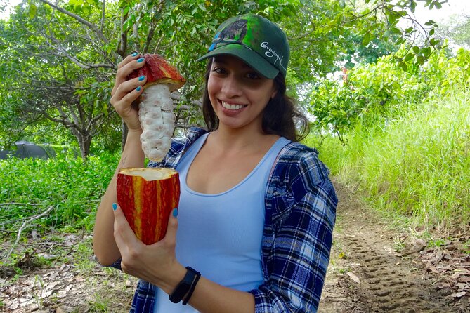Full Day Tour Mangroves Dolphins and Cocoa Farm From Guayaquil