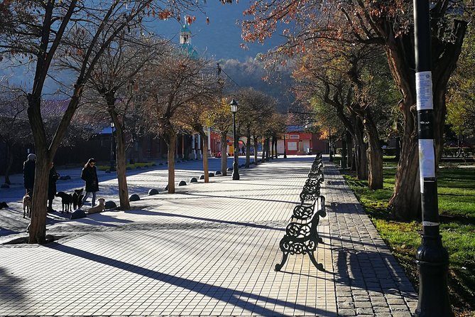 Full Day Tour to Cajón Del Maipo in Small Group