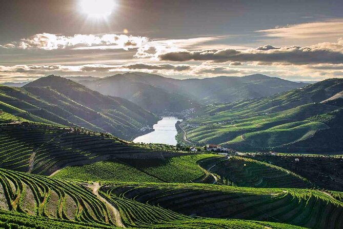 Full Day Tour to Douro Valley From Porto - Additional Information