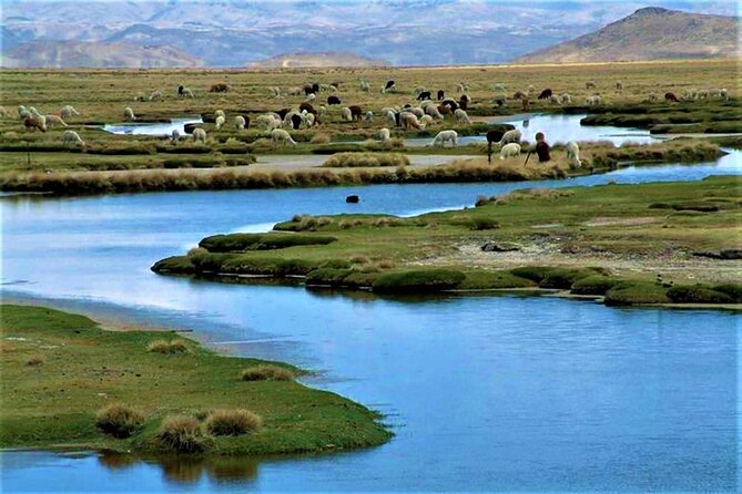 Full Day Tour to the Colca Canyon